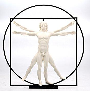 Da Vinci - The Vitruvian Man DAV01