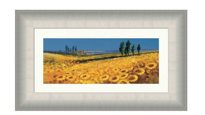 John Horsewell - Yellow Fields Tuscany - Framed Art