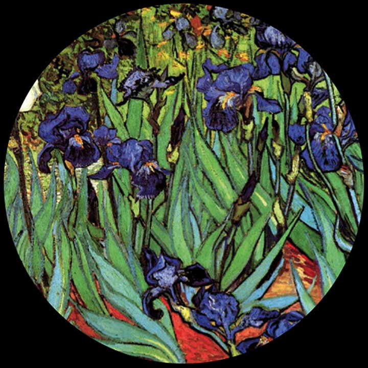 Glass Paperweight - Van Gogh - Irises PGOG2