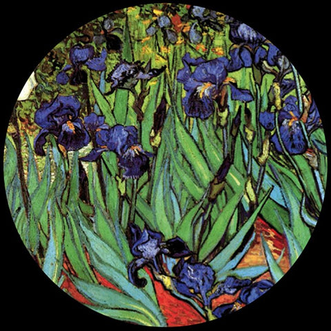 Glass Paperweight - Van Gogh - Irises PGOG2